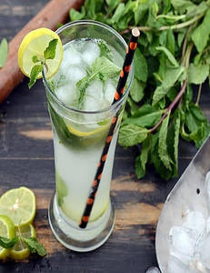 Virgin Mojito