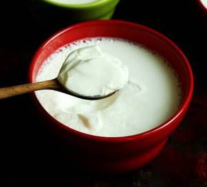 Plain Curd