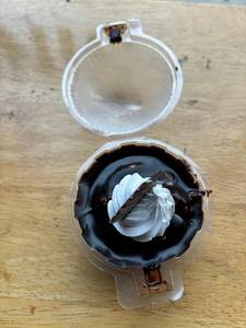 Chocolate Mousse