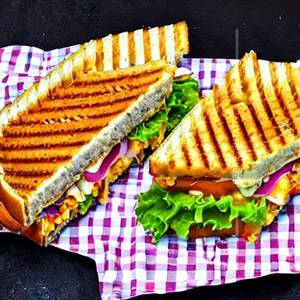 Veg Cheese Grill Sandwich