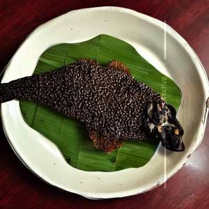 Pepper Fish