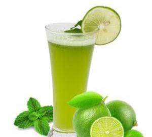 Fresh Lemon Mint 350 Ml