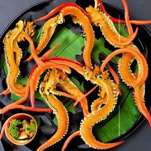 Dragon Squid