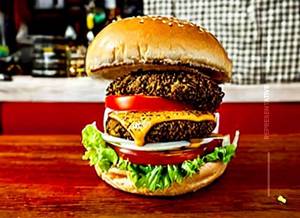 Mexican Burger                                  