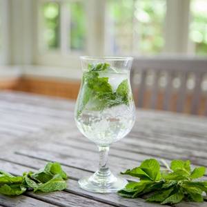 CLASSIC MINT MOJITO