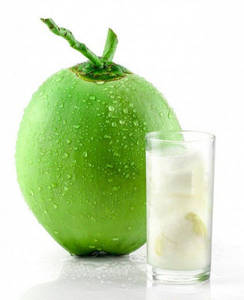 Tender Coconut Pure Juice
