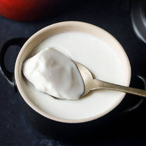 Dahi Plain
