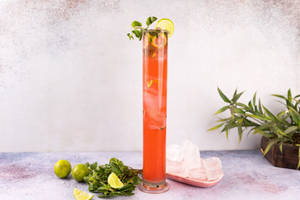 Watermelon Mojito