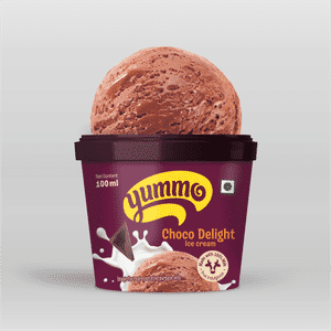 Choco Delight Ice Cream 100ml