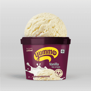 Vanilla Ice Cream 100ml