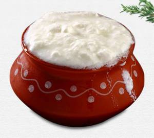 Fresh Curd (500 Gm)
