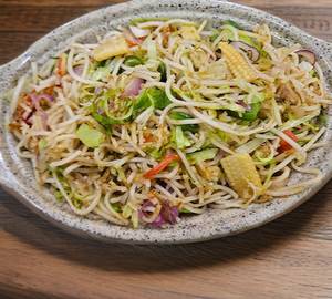 Veg hakka noodles