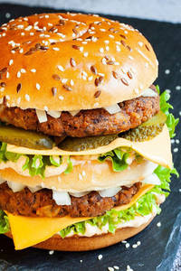 Double Patty Cheeseburger