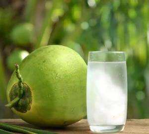Coconut Water [500Ml]