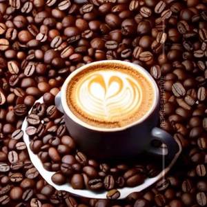 Hot Coffee Espresso