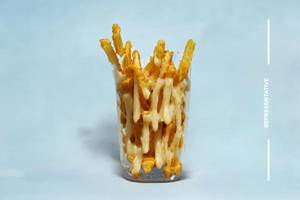 Cheesy Chicken Fries 