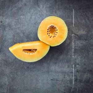 Muskmelon