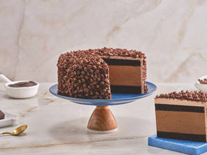 Chocolate Chips Ice Cream Cake (500 Ml)