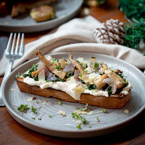 King Oyster Mushroom