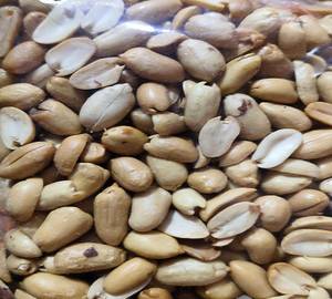 Gujrati Salted Peanuts