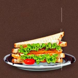 Veg Sandwich