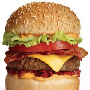 Hot N Spicy Burger