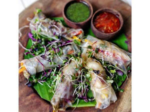 Vietnamese Chilled Salad Roll