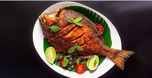 Pomfret Tawa Fry