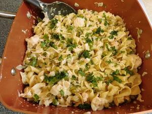 Alfredo Pasta   [Egg]