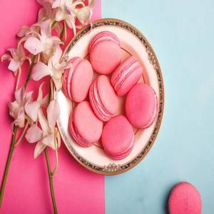 Rose Macaron