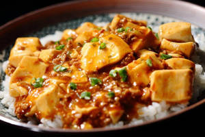 Mapo Tofu Veg (Tofu With Garlic Chilli Sauce)