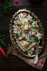 Bhopal Namkeen Sabudana Khichadi