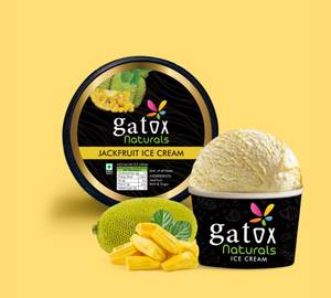 Jack Fruit Ice Cream [Mini Pack]
