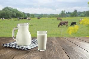 Milk -1 Glass