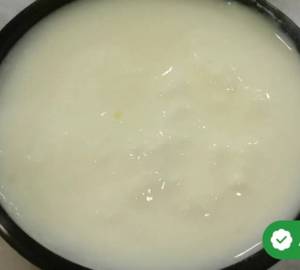 Plain Dahi