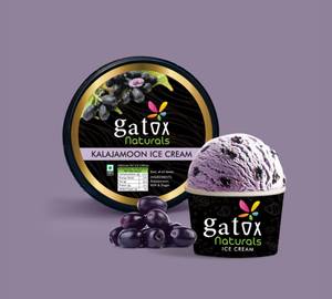 Kala Jamun Ice Cream [Mini Pack]
