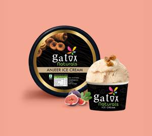 Anjeer Ice Cream [Mini Pack]