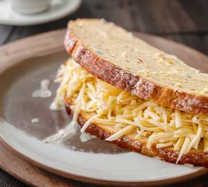 Cheese Sandwich