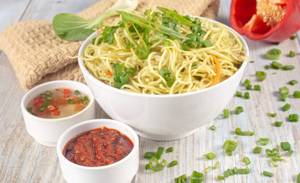 Veg Hakka Noodles