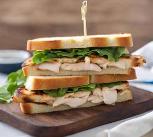Chicken Grilled Sandwich