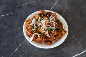 Gobi Manchuria