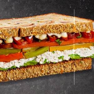 Veg sandwich plain grilled