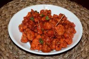 Gobi 65             