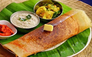 Onion Plain Dosa