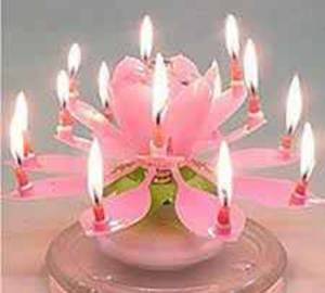 Moving Melody Flower Candles