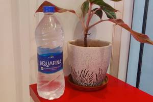 Packaged Drinking Water [1 Litre]
