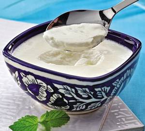 Cup Curd