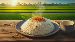 Ghee Rice
