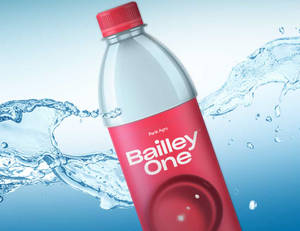 Bailley One - Mineral Water [500 ml]