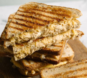 Chicken Grilled Sandwich